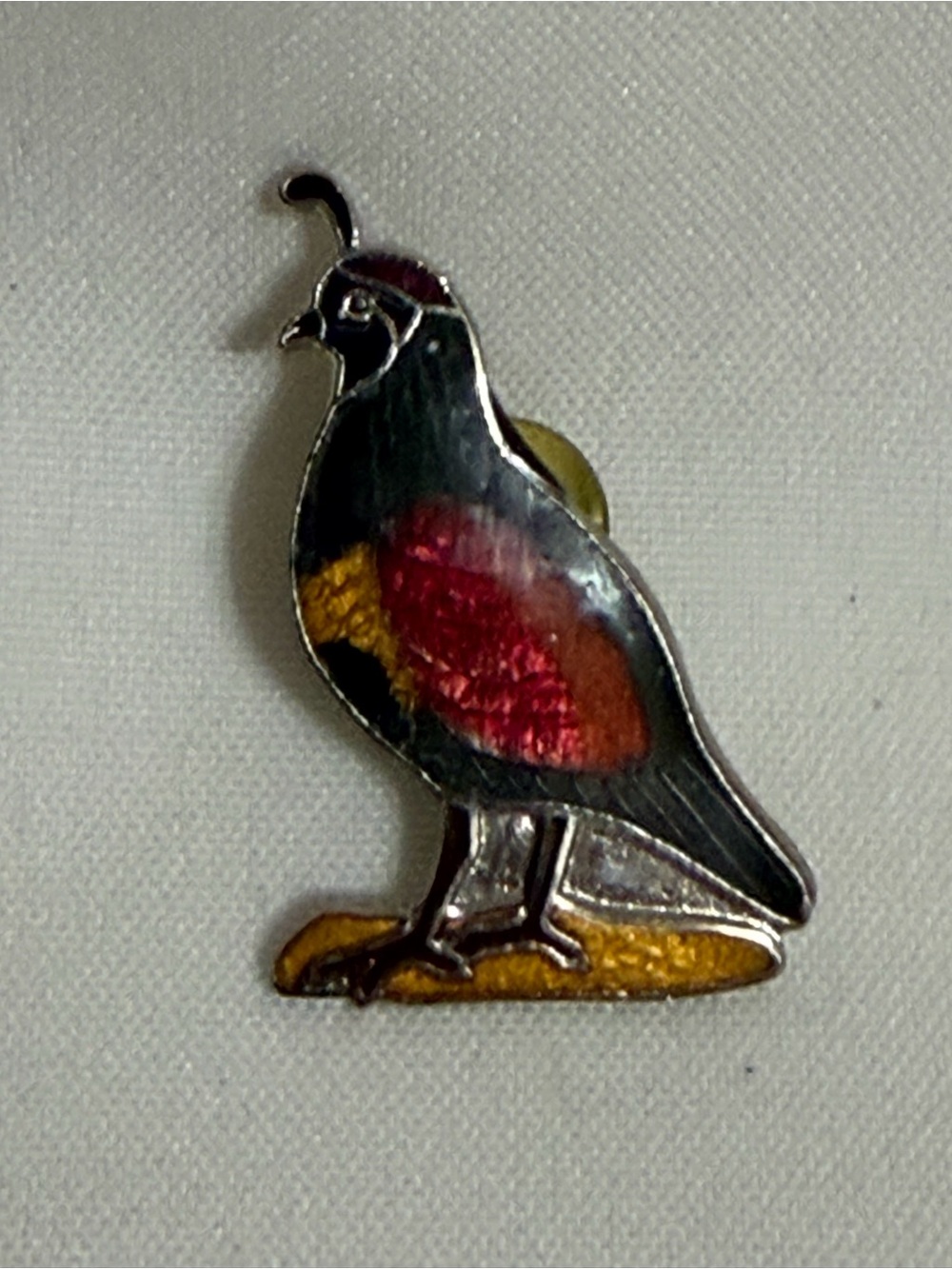 Quail Enamel Brooch - Black, Red & Gold Accent